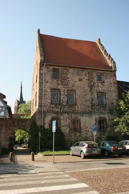 Burg Steinernes Haus (Erbach)