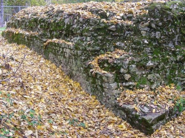 Walluf Castle (Ruin) (Niederwalluf)