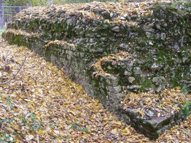 Walluf Castle (Ruin) (Niederwalluf)