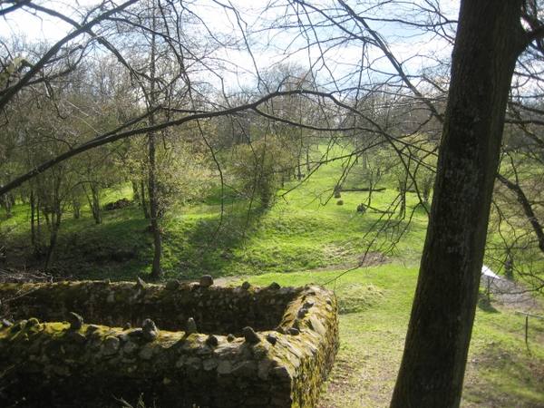 Glauberg Castle (Ruin)