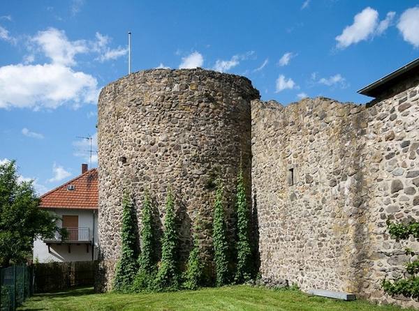 Grüningen Castle (Ruin)