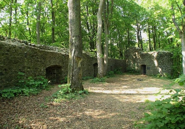 Eigenburg Castle (Ruin) (Winkels)