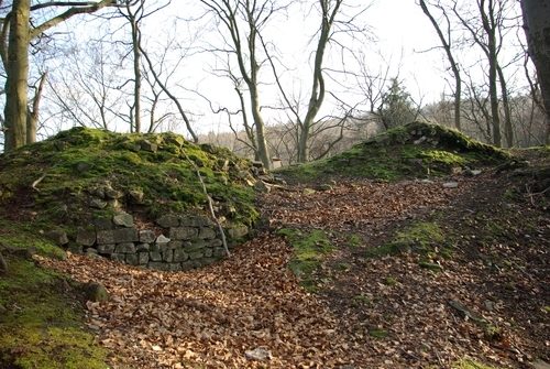 Hollende Castle (Ruin) (Warzenbach)