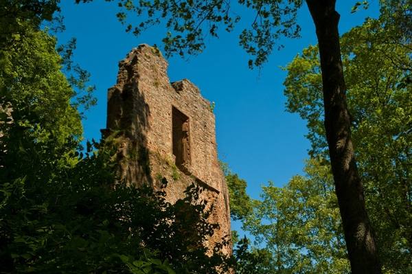 Ruine Rauschenberg