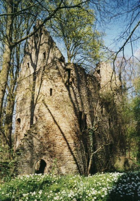 Ruine Lehrbach