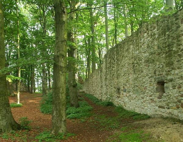 Ruine Landeck (Schenklengsfeld)