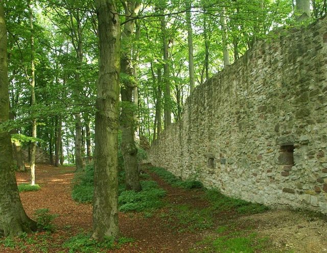 Landeck Castle (Ruin) (Schenklengsfeld)