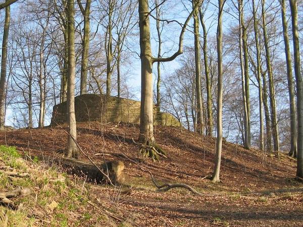 Ruine Rotenburg