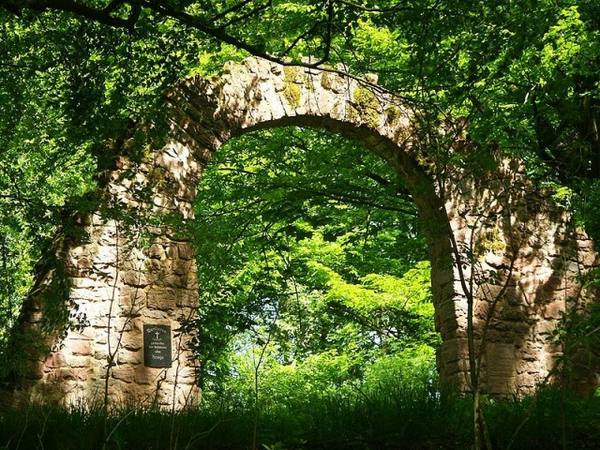 Ruine Wildeck