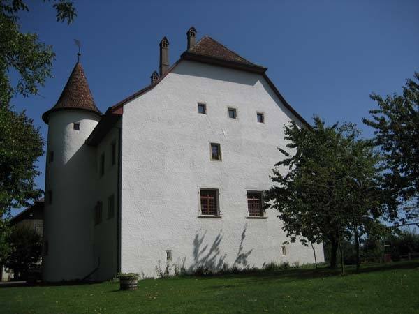 Domont Castle (Delémont)