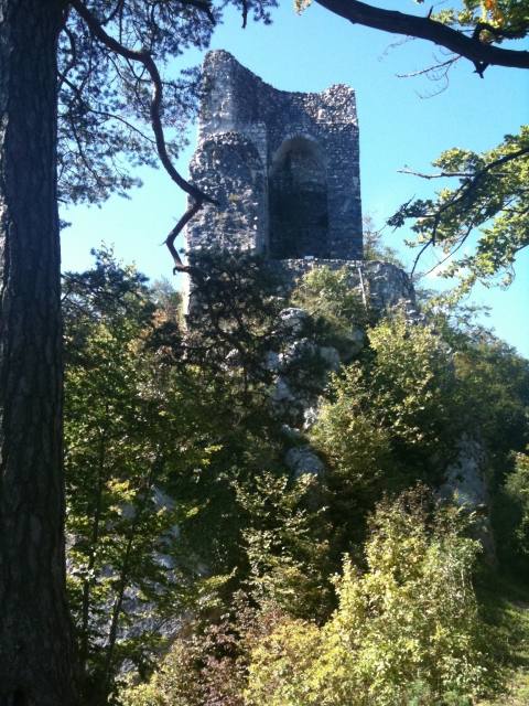 Vorbourg Castle (Ruin) (Delémont)