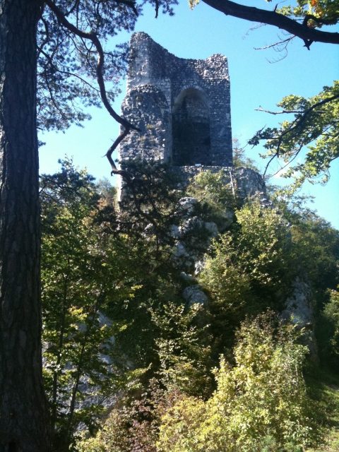 Vorbourg Castle (Ruin) (Delémont)