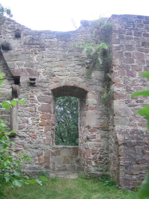 Falkenstein Castle (Ruin) (Bad Emstal)