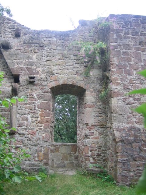 Ruine Falkenstein (Bad Emstal)