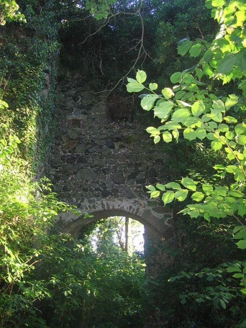 Burgruine Falkenberg