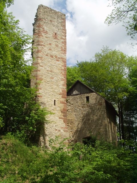 Boyneburg Castle (Ruin) (Wichmannshausen)