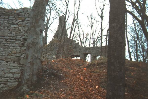Brandenfels Castle (Ruin) (Markershausen)