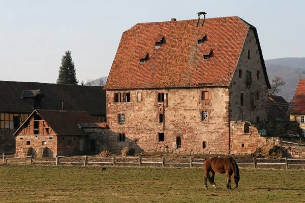 Burg Schwebda