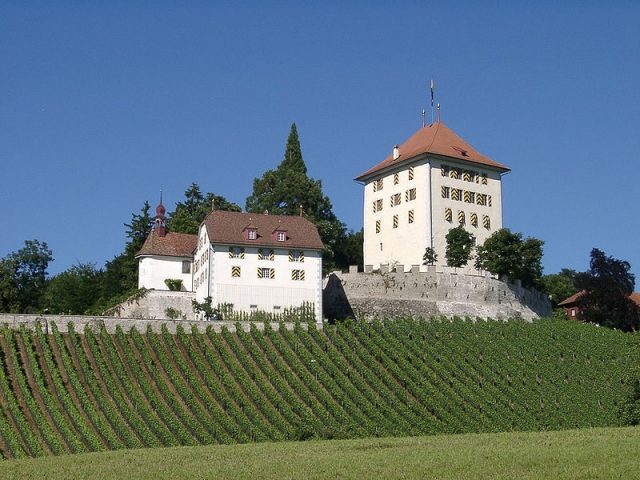 Heidegg Castle (Gelfingen)