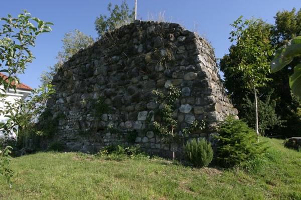 Grünenberg Castle (Ruin) (Hitzkirch)