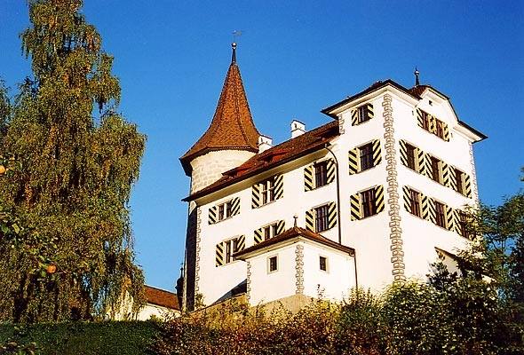 Schauensee Castle (Kriens)