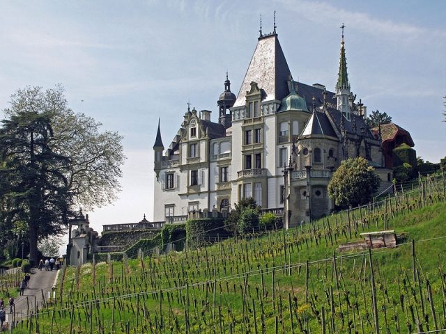 Meggenhorn Castle (Meggen)