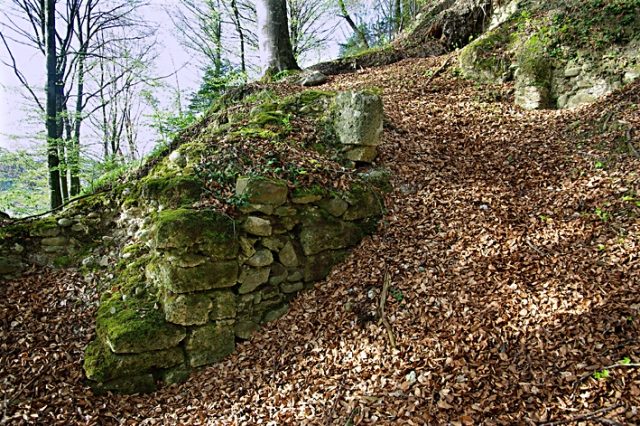 Hasenburg Castle (Ruin) (Willisau)