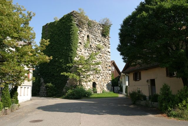 Richensee Castle (Ruin) (Hitzkirch)