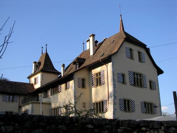 Borcarderie Castle (Valangin)