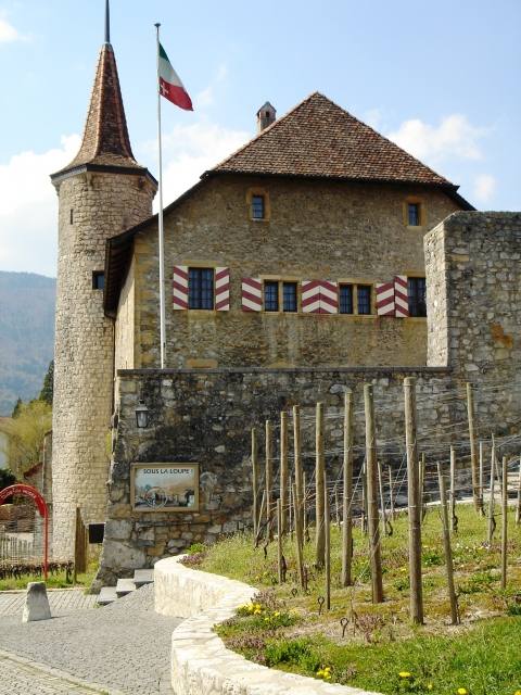 Boudry Castle