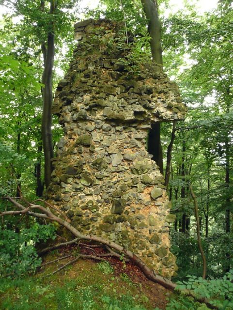 Burgrrest Brackenburg