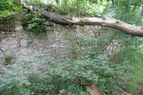 Heinrichsburg Castle