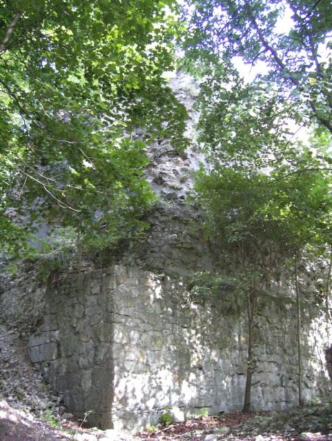 Burgrest Winzenburg