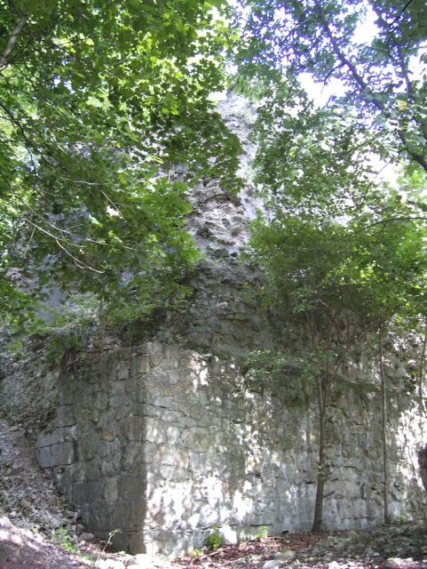 Burgrest Winzenburg