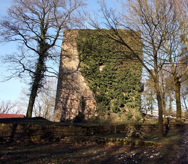 Limburg Castle (Ruin) (Börninghausen)