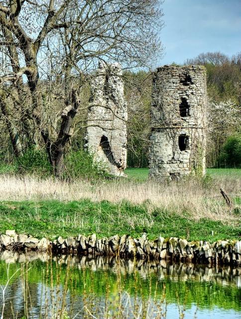 Erpenburg Castle (Ruin) (Brenken)