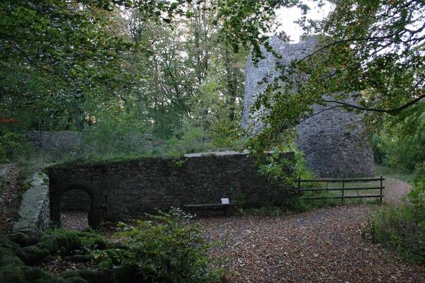 Iburg Castle (Ruin) (Bad Driburg)