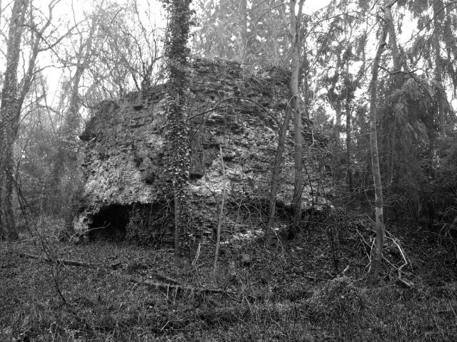 Hagenbeck Castle (Ruin) (Dorsten)