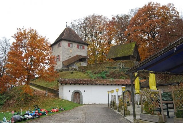 Buchegg Castle