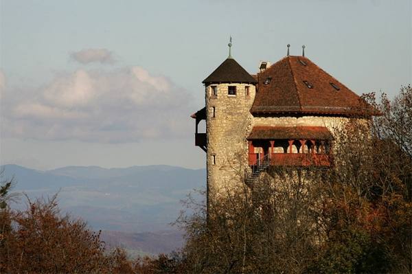 Rotberg Castle (Metzerlen-Mariastein)