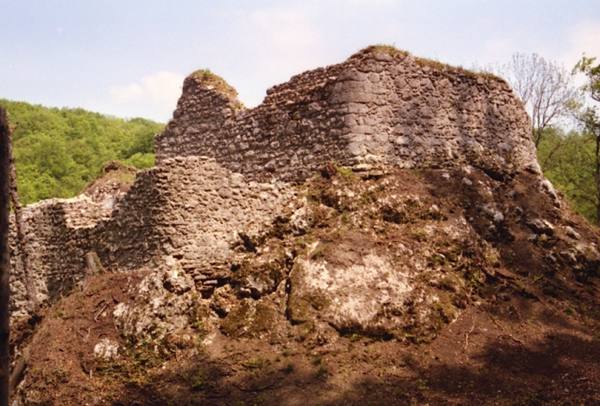 Sternenberg Castle (Ruin) (Hofstetten-Flüh)