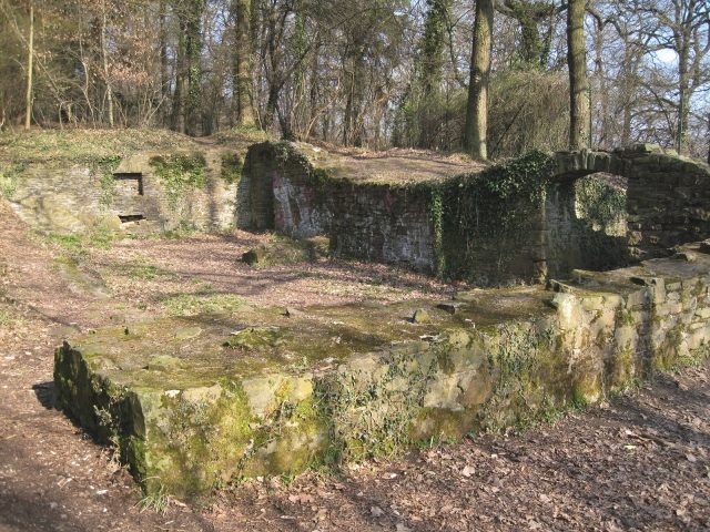 Rodenberg Castle (Ruin) (Menden)