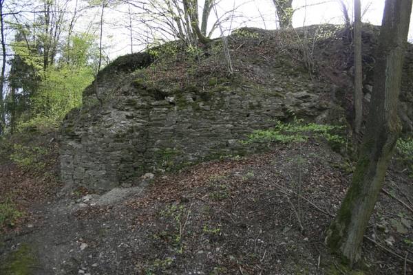 Borghausen Castle (Ruin)