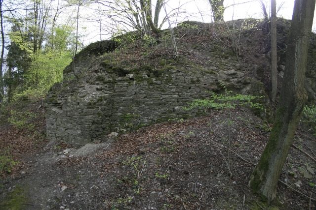 Borghausen Castle (Ruin)
