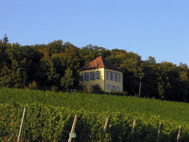 Yellow House Castle