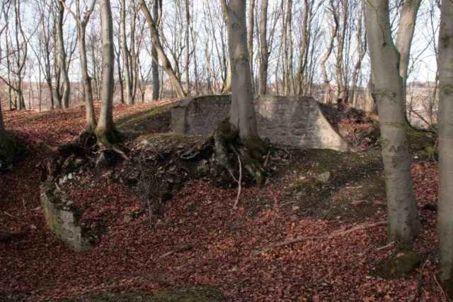 Altenfels Castle (Ruin) (Rösenbeck)