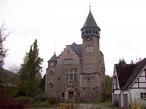 Wildenberg Castle (Brunskappel)