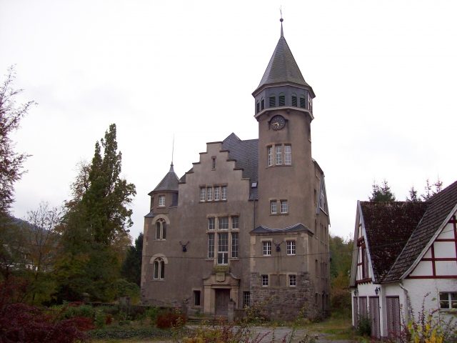 Wildenberg Castle (Brunskappel)
