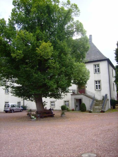 Oelinghausen Abbey (Arnsberg)