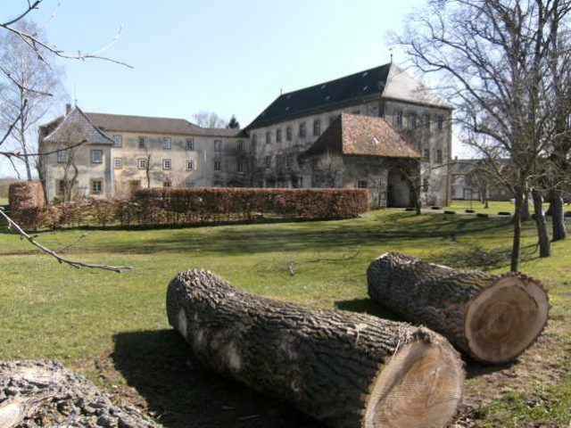 Schloss Schenkenau
